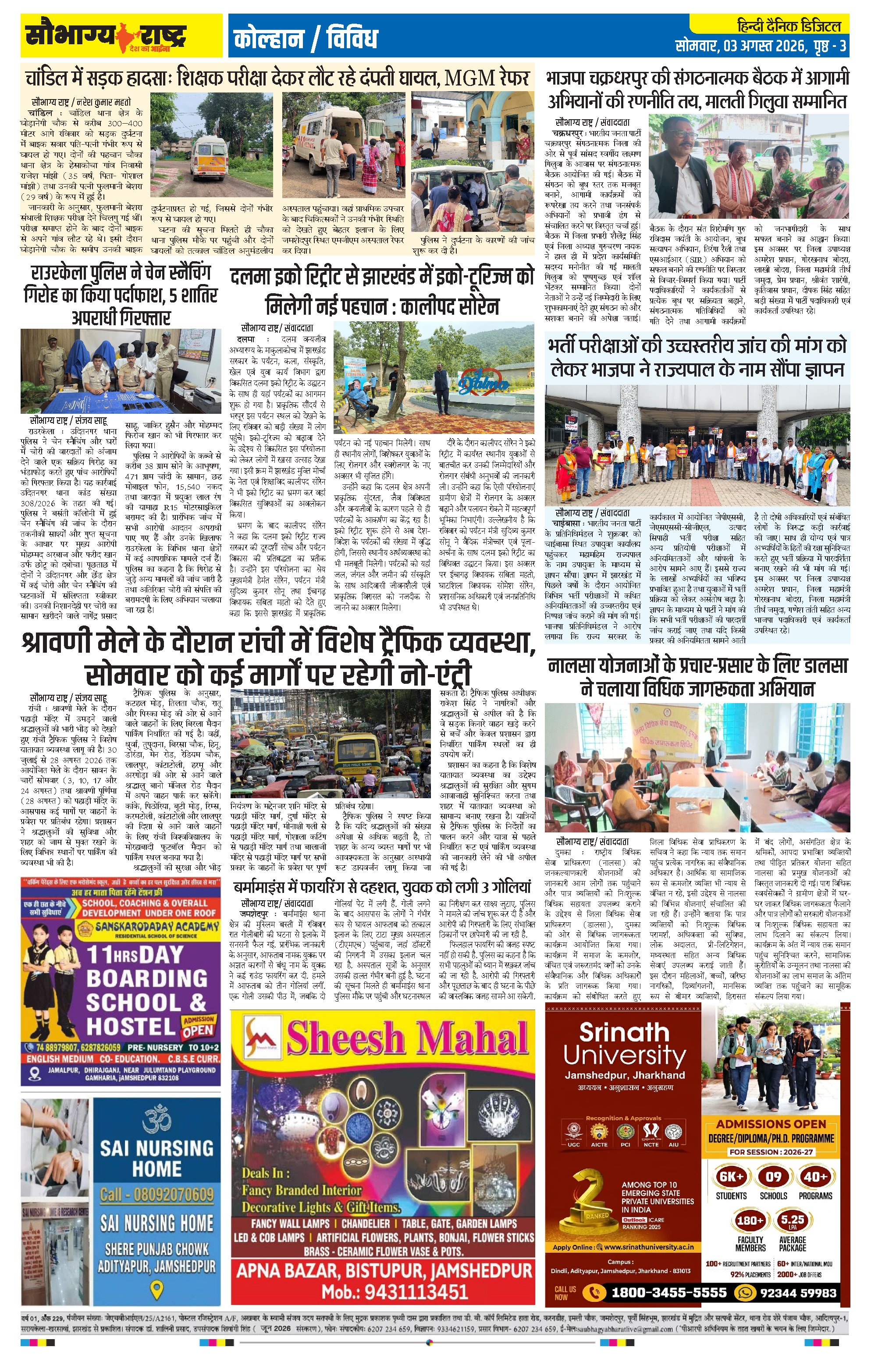Page 3